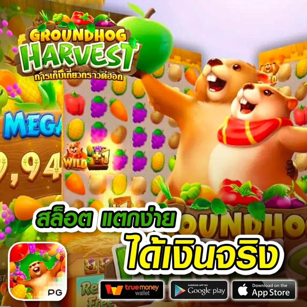 ดูผลบอลล่าสุด รวมสถิติการแข่งขันและคะแนนแบบเรียลไทม์
